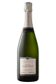 champagne saintot brut tradition premier cru
