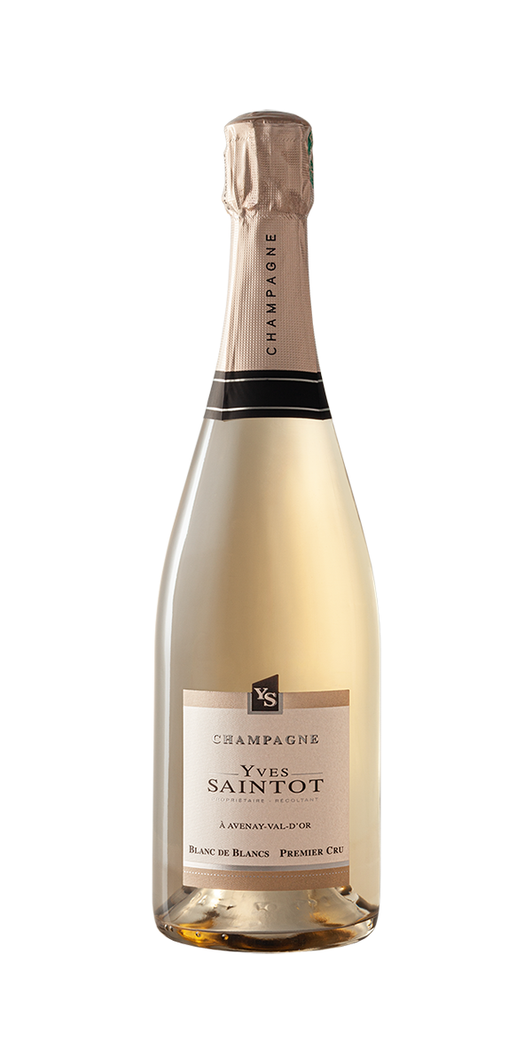 champagne saintot blanc de blancs